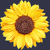 Clan Logo